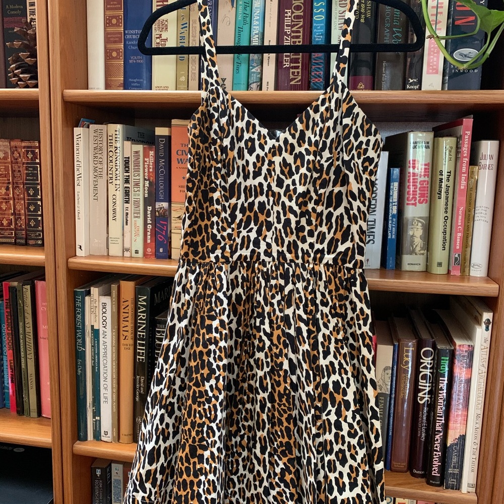 Trashy Diva By Candace Gwinn Cheetah Dress Size 4
